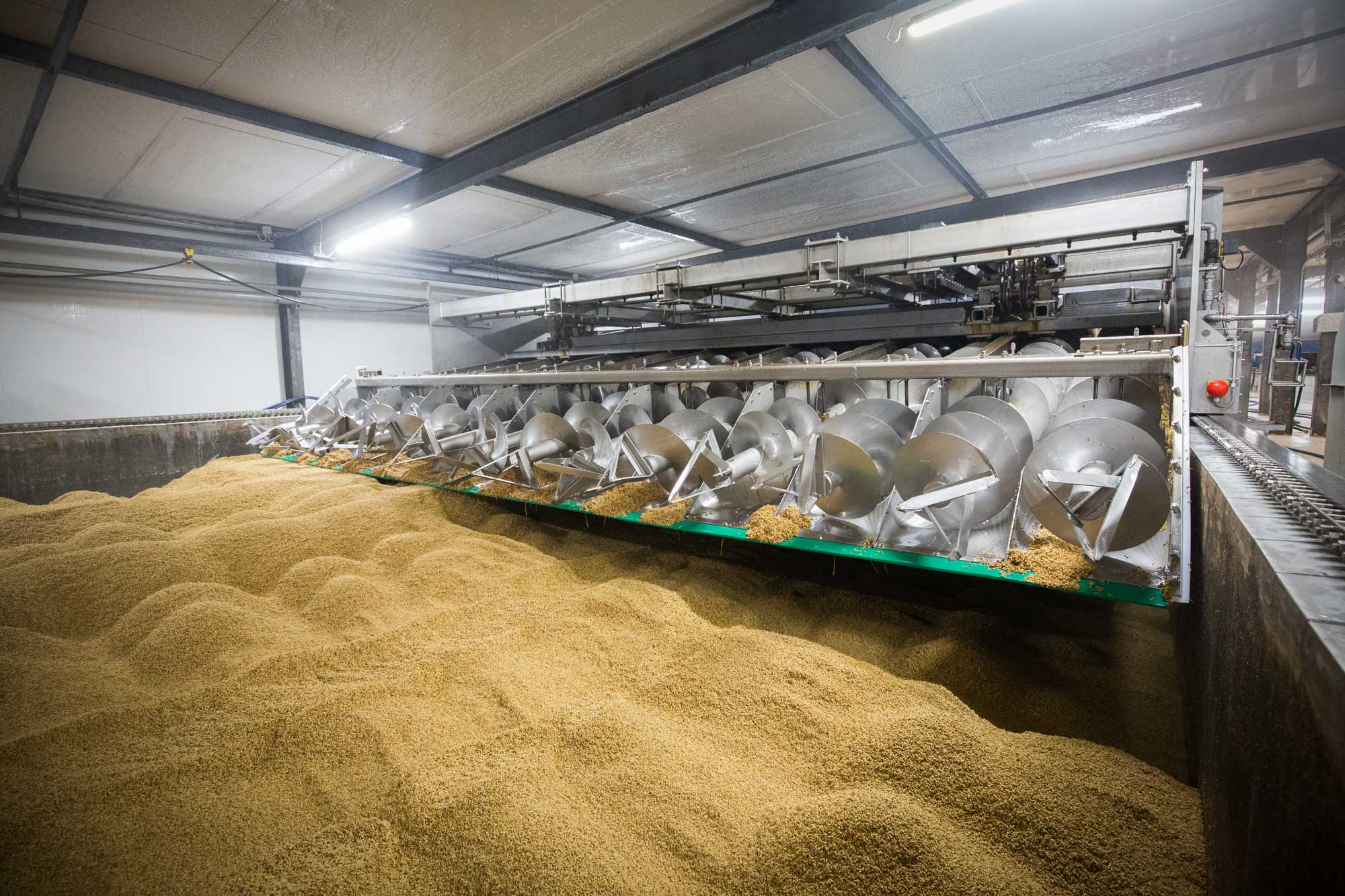 Wender im Keimkasten in Schriesheim